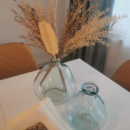 Appartement Theodor Og Laufen